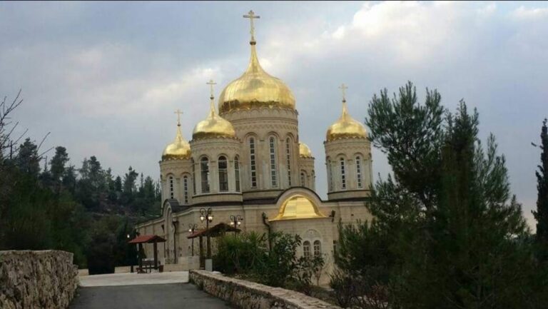 WhatsApp Image 2022-09-28 at 5.34.34 PM (1)