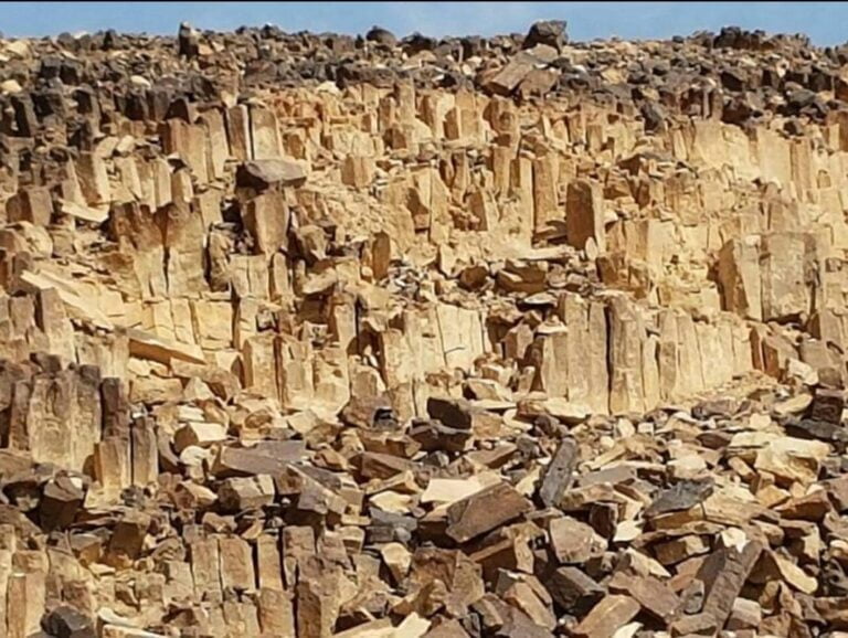 WhatsApp Image 2022-09-28 at 5.34.34 PM (2)