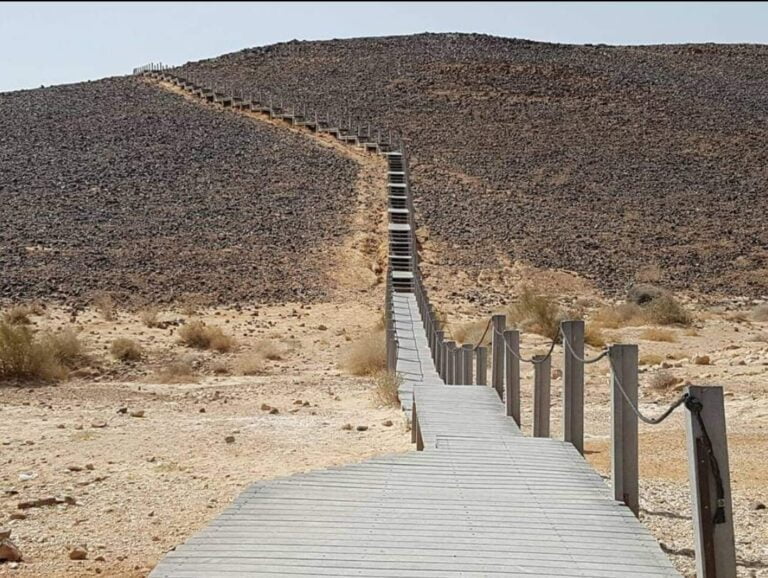 WhatsApp Image 2022-09-28 at 5.34.35 PM (2)