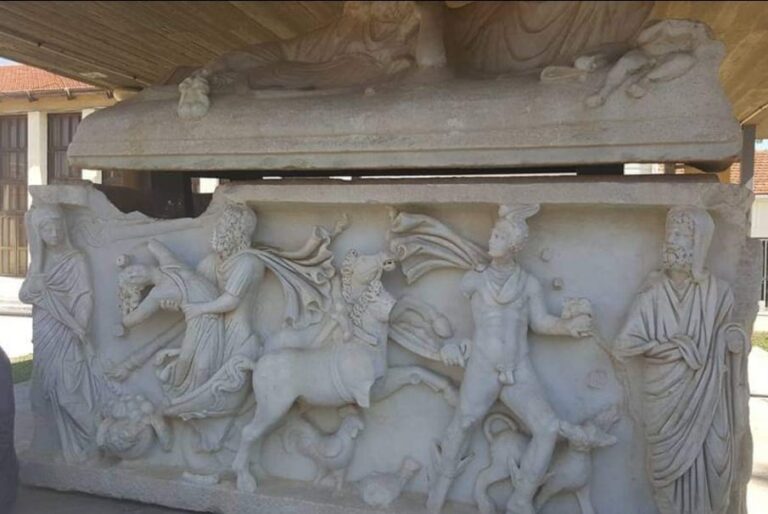 WhatsApp Image 2022-09-28 at 5.34.36 PM (1)