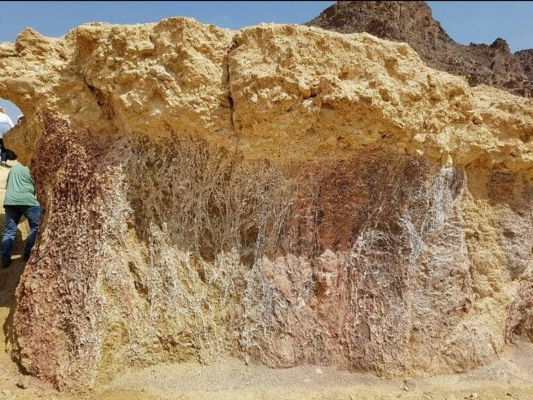 WhatsApp Image 2022-09-28 at 5.34.36 PM