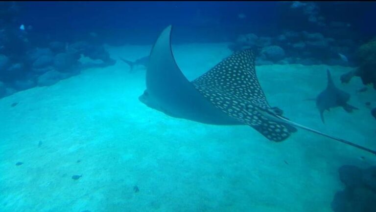 WhatsApp Image 2022-09-28 at 5.34.37 PM