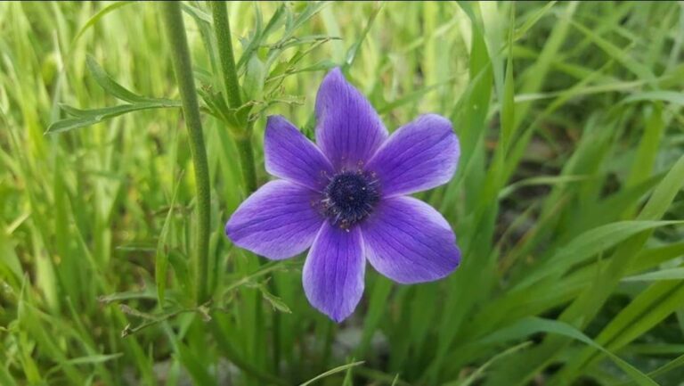 WhatsApp Image 2022-09-28 at 5.36.31 PM (2)