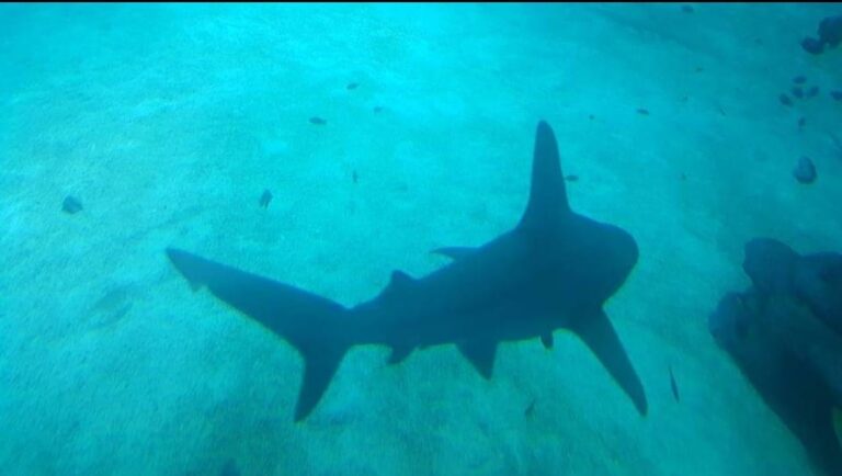 WhatsApp Image 2022-09-28 at 5.36.31 PM (3)