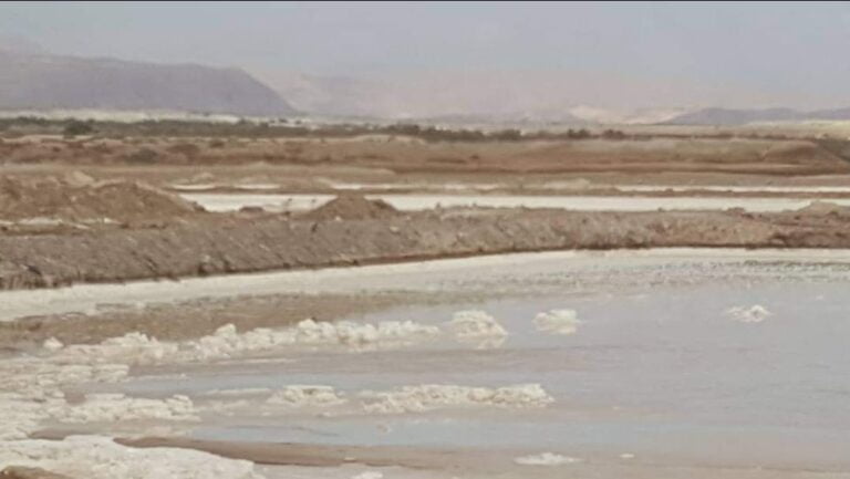 WhatsApp Image 2022-09-28 at 5.36.33 PM