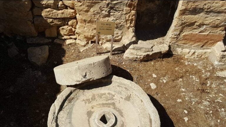 WhatsApp Image 2022-09-28 at 5.36.34 PM (3)